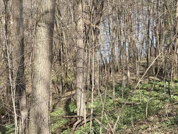 Goldfinch 32 Offshore Building Site Lake Redstone Wisconsin